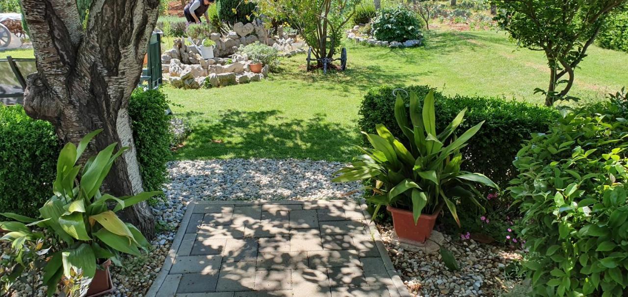 Apartma Sime Sukosan